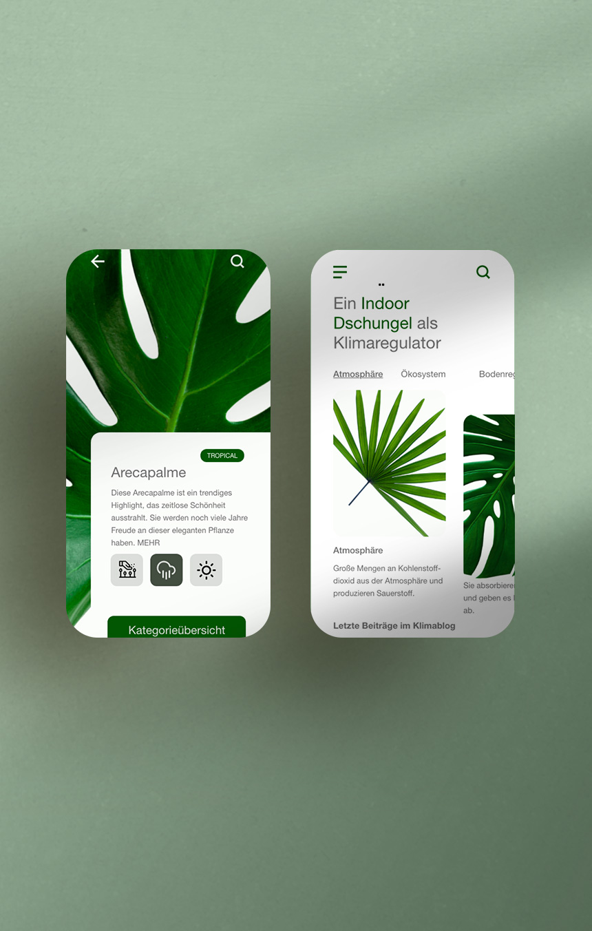 Website Erstellung 8 Deetail Referenzen Jungle mobile 860 1352 Website Erstellung